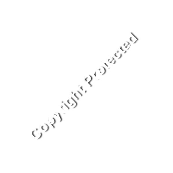 CSI logo white outside Thumbnail