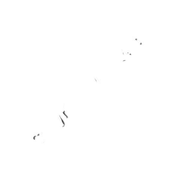 Single Fin Life CSI - white text Thumbnail