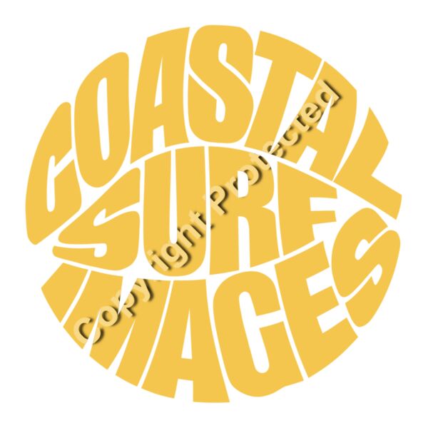 CSI logo gold Thumbnail