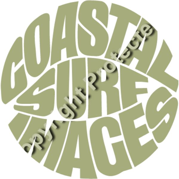 CSI logo Sage Thumbnail